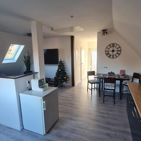 Ferienwohnung Richter Pirna Exteriér fotografie